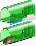 Mouse Comparisons: Review & Buyer’s Guide (2026)