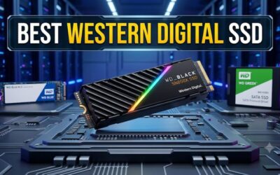 Best Western Digital SSD: Complete Guide to the Best Picks